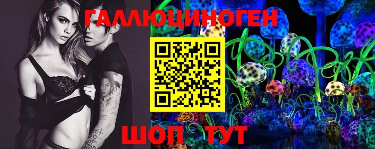 Малгобек  Псилоцибиновые грибы Cubensis  Псилоцибиновые грибы GOLDEN TEACHER  где продают наркотики  Вход с VPN 